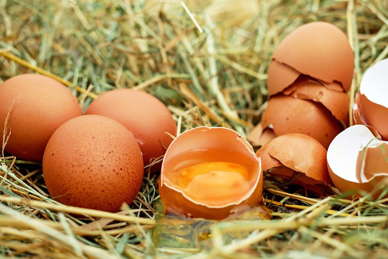 5 niecodziennych zastosowań jajka