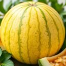 Melon Crenshaw – co warto wiedzieć o jego zdrowotnych właściwościach?