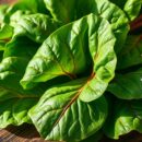 Burak liściowy – zdrowotne właściwości, korzyści i przeciwwskazania