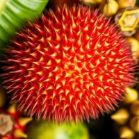 Rambutan – egzotyczny owoc pełen zdrowotnych właściwości