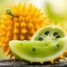 Melon rogaty – właściwości zdrowotne i składniki odżywcze