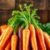 Właściwości zdrowotne marchewki: składniki, korzyści i zastosowania