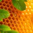 Propolis – jak stosować, dawkować i korzystać z jego dobrodziejstw?