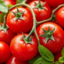 Pomidory cherry – zdrowotne właściwości i wartości odżywcze