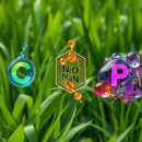 Makroelementy – klucz do zdrowia i prawidłowego rozwoju organizmu